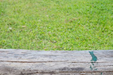 yeşil çim alan Doğal Parkı ile boş ahşap üst