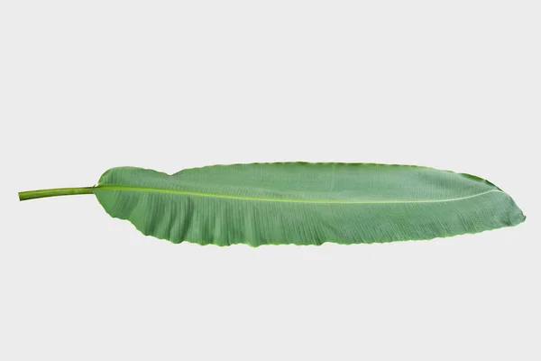 Banana Leaf Isolated Latar Belakang Putih Dengan Jalur Kliping — Stok Foto