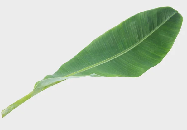 Bananenblatt Isoliert Auf Weißem Hintergrund Mit Clipping Path — Stockfoto