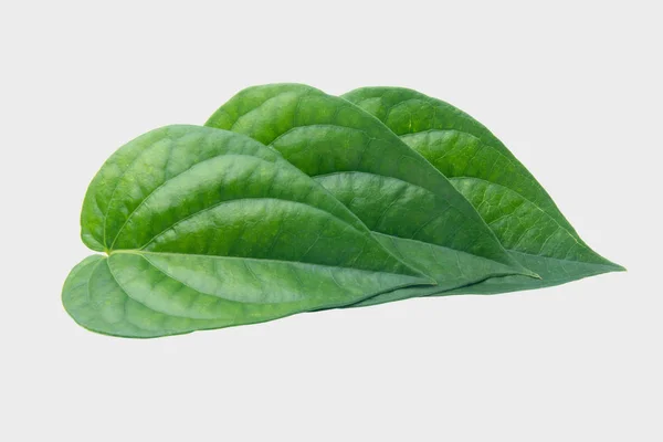 Feuille Betel Verte Isolée Sur Fond Gary Avec Chemin Coupe — Photo