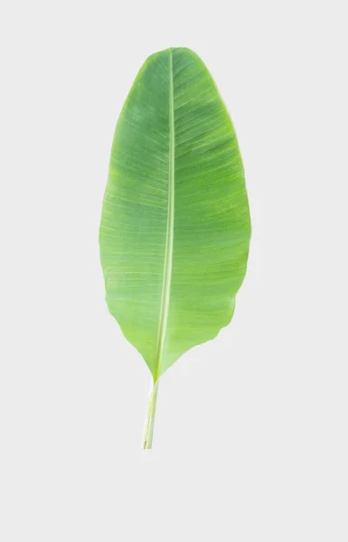 Banana Leaf Isolated White Background Clipping Path — Stock Photo, Image