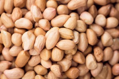 Arka plandaki fıstıkları kapat. Üst Manzara.