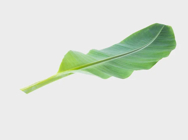 Banana Leaf Isolated Gray Background Clipping Path — Stock Photo, Image