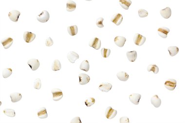 darı beyaz renk arka plan ve kırpma yolu.