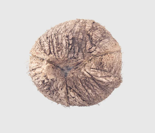 Kokosnötter Isolerad Gary Bakgrund Urklippsbana — Stockfoto