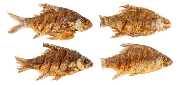 Collection Fish Fried Isolated White Background Clipping Path — Stock Photo, Image