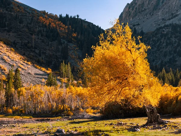 Bellissima montagna delle Alte Sierras all'inizio dell'autunno — Foto Stock