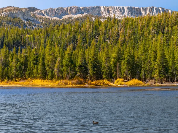 Paisagem do lago de outono no norte da Califórnia — Fotografia de Stock