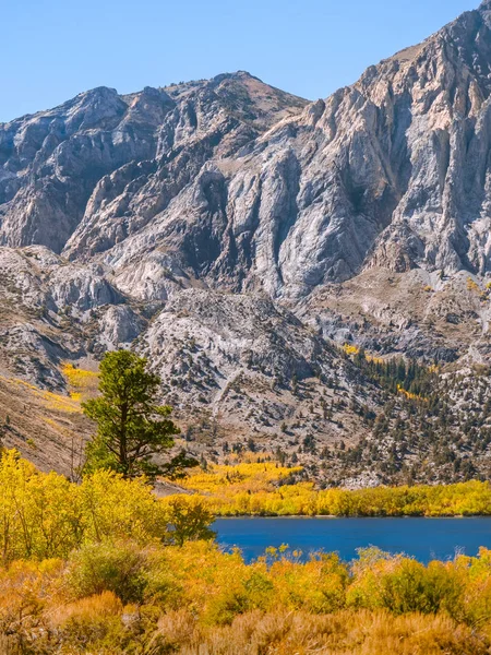 Paisagem de montanha vertical com cores brilhantes de outono no seu melhor Imagem De Stock