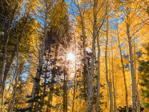 Paisagem de outono brilhante com sunburst no meio Imagem De Stock
