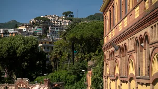 Domy Wzgórzach Miasta Rapallo Typową Roślinnością — Wideo stockowe