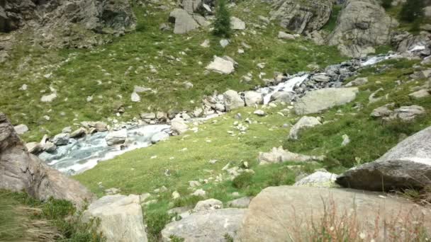 小さな川は来るラルプ ゲーラ ダムと北イタリアのソンドリオに近いアルプスの盆地 — ストック動画