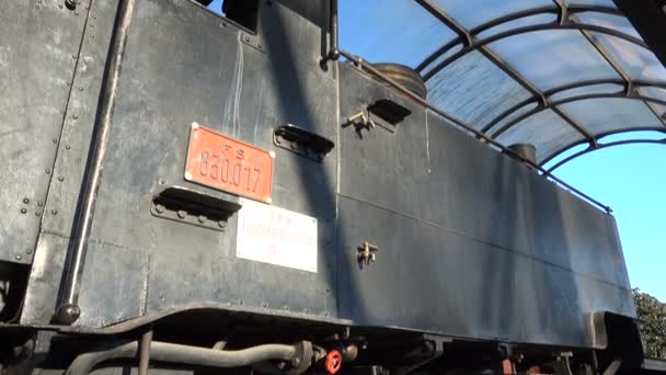 Locomotiva Vapore Posta Zona Carroponte Come Monumento Ricordare Antiche Fabbriche — Video Stock