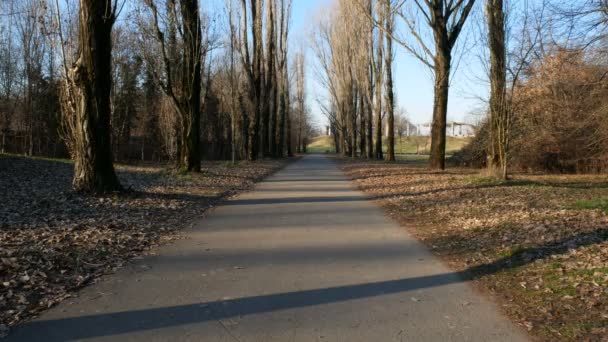 Parco Nord Eski Üzerinde Oluşturulan Bir Park Bisiklet Lane Milan — Stok video