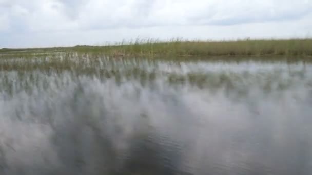 エバーグレーズ国立公園で高速を移動 エアボートから見た湿地 — ストック動画