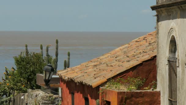 Visión Del Río Plata Desde Colonia Del Sacramento Uruguay — Vídeo de stock