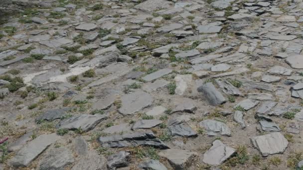 Detalle Adoquines Una Calle Peatonal Del Centro Histórico Patrimonio Humanidad — Vídeo de stock