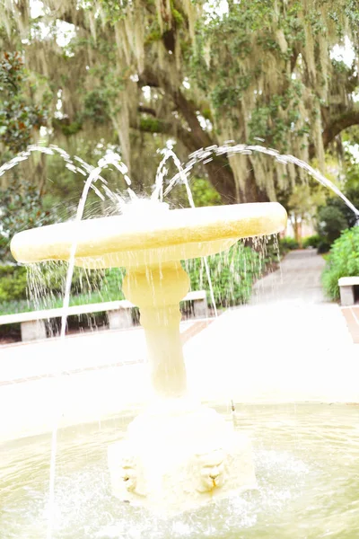 Water fountain in park. Splashing streams of fountain in Water stream pouring from fountain.