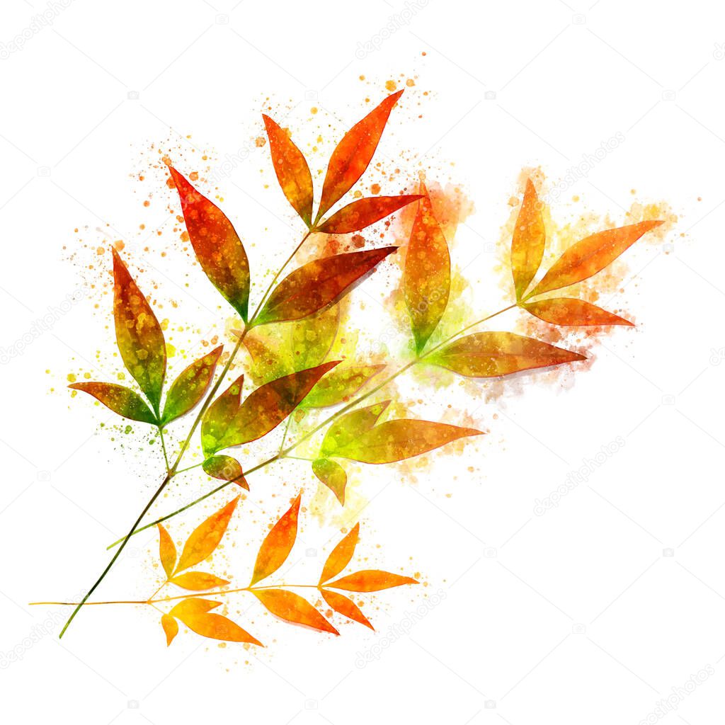 Fall nandina bamboo leaves in bright watercolor colors