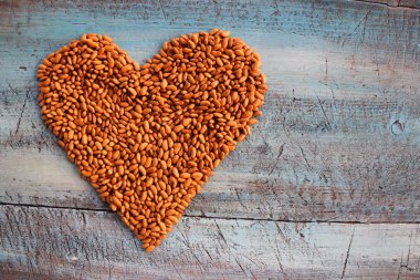 Mavi ağaçtaki fasulye kalbi.