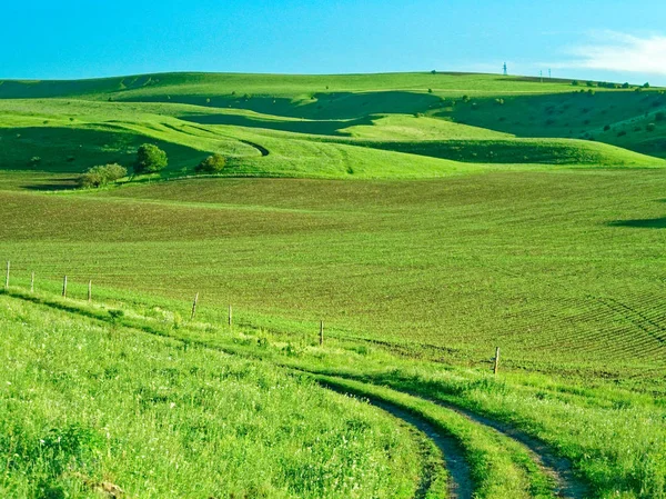 Wiosna krajobraz w górach. Uprawy, pola trawiaste i wzgórza. krajobrazu wiejskiego. — Zdjęcie stockowe