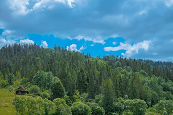 Forest slopes of the Carpathians with an abandoned house — Stock Photo, Image