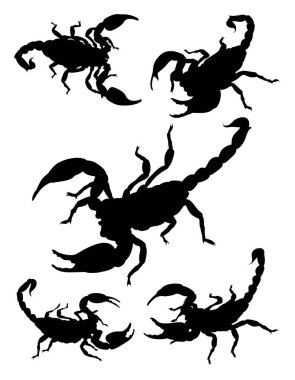 Akrep silüeti. Sembol, logo, web simgesi, maskot, işaret veya herhangi bir tasarım için iyi kullanmak istiyorum.