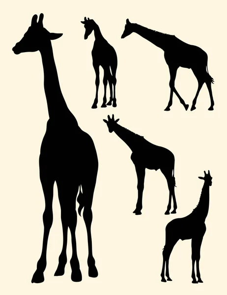 Silhuetten Giraff Bra Användning För Symbol Logotyp Web Ikonen Maskot — Stock vektor