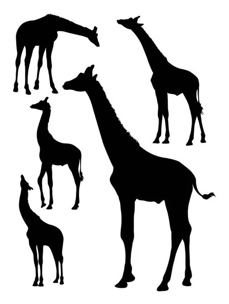 Silhouette Giraffa Buon Uso Simbolo Logo Icona Web Mascotte Segno — Vettoriale Stock