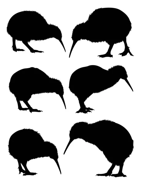 Silhueta Kiwi Bom Uso Para Símbolo Logotipo Ícone Web Mascote — Vetor de Stock