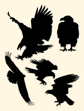 Kartal silüeti. Sembol, logo, web simgesi, maskot, işaret veya herhangi bir tasarım için iyi kullanmak istiyorum.