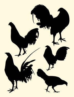 Tavuk silüeti. Sembol, logo, web simgesi, maskot, işaret veya herhangi bir tasarım için iyi kullanmak istiyorum.