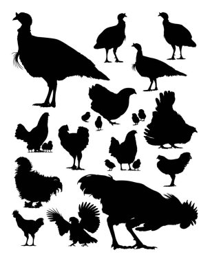 Hindi ve tavuk siluet. Sembol, logo, web simgesi, maskot, işaret veya herhangi bir tasarım için iyi kullanmak istiyorum.