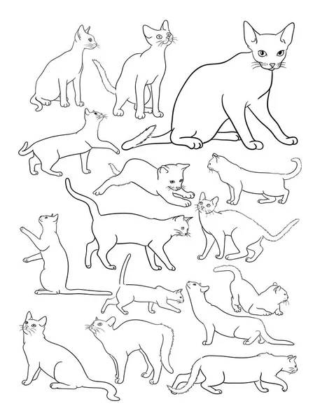 Katzen Zeichnen Linien Gute Verwendung Für Symbol Logo Web Symbol — Stockvektor