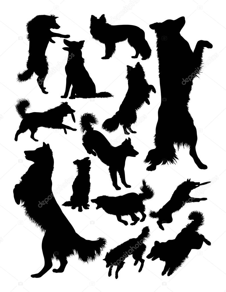 Collie dog animal silhouette. Good use for symbol, logo, web icon, mascot, sign, or any design you want.