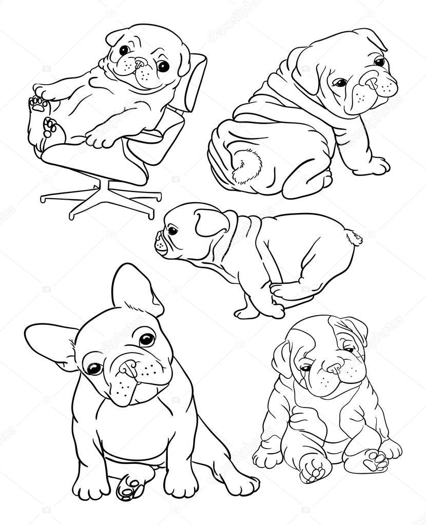 Bulldog pet animal line art. Good use for symbol, logo, web icon, coloring book, mascot, sign, or any design you want.