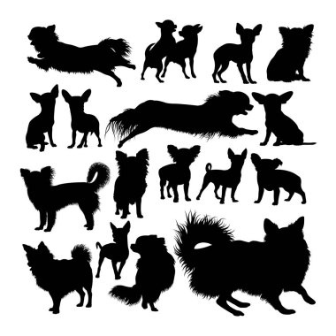 Free Free 336 Long Haired Chihuahua Svg Free SVG PNG EPS DXF File