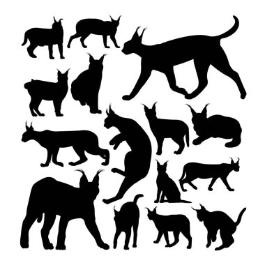 Vahşi karamat kedisi hayvan siluetleri. Sembol, logo, web simgesi, maskot, işaret veya istediğiniz herhangi bir tasarım için iyi kullanım.