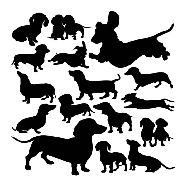 Dachshund köpek hayvan siluetleri. Sembol, logo, web simgesi, maskot, işaret veya istediğiniz herhangi bir tasarım için iyi kullanım.
