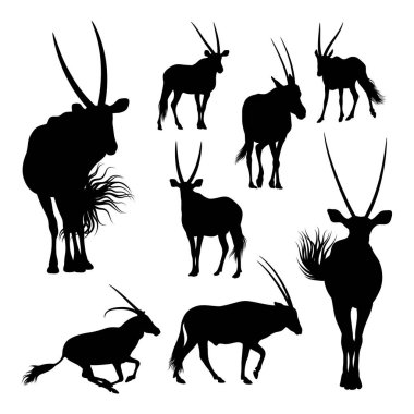 Arap antilop vahşi yaşam siluetleri. Sembol, logo, simge, maskot ya da istediğiniz herhangi bir tasarım için kullanılabilir.