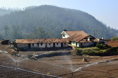 Tarım alanları, su fıskiyeleri ve portakal zona çatılı binalar ile kırsal peyzaj. Hint tarım çiftliği. Ooty, Hindistan