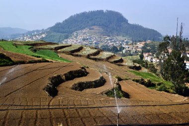 Bir çiftlikte su fıskiyeleri ile teraslı alanlar,. Hint tarımı. Ooty (Udhagai), Hindistan yakınlarındaki küçük bir köye bakış