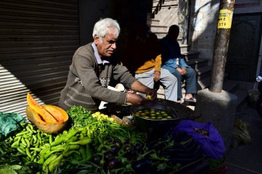 Udaipur, Rajasthan, India - December, 2016: Aged salesman selling vegetables on the street market. Indian man seller near street vendor in the morning. Green pepper and pumpkin on the cart.