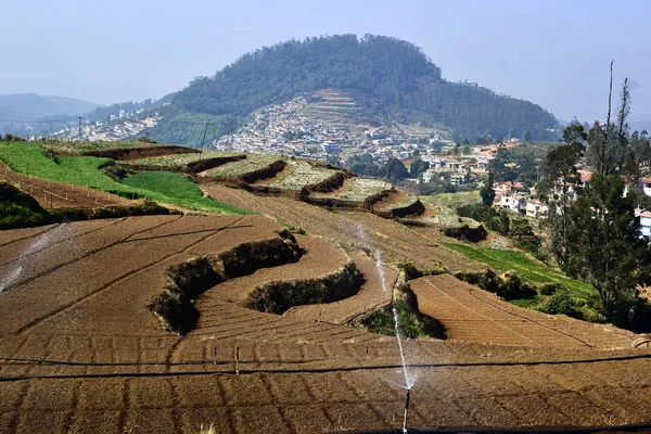 Bir çiftlikte su fıskiyeleri ile teraslı alanlar,. Hint tarımı. Ooty (Udhagai), Hindistan yakınlarındaki küçük bir köye bakış