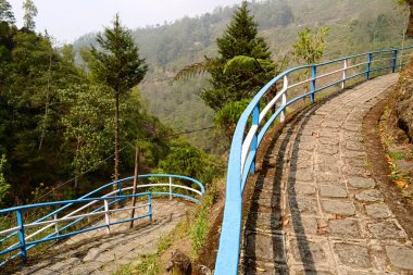 Korkuluk ile döşeli taş yürüyüş yolları. Halka açık parkta kapalı kavisli patika Barbotey Rock Garden olarak adlandırılır. Darjeeling popüler turistik. Hindistan