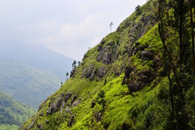 Parlak yeşil çim ile Rocky Dağları. Taze bahar renkleri peyzaj. Tropikal dağlar duvar kağıdı. Hüseyin, Sri Lanka
