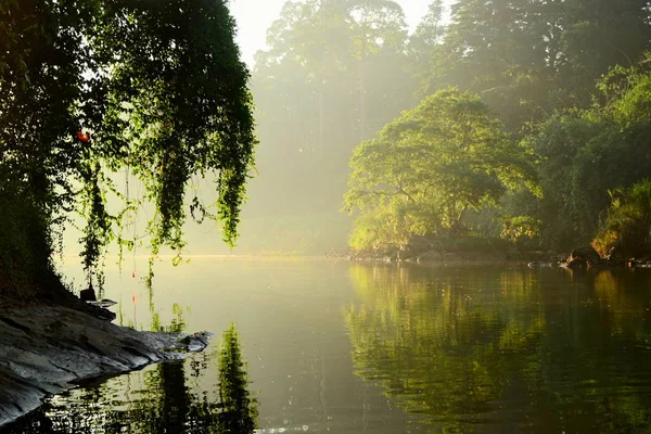 Mahaweli River Sunny Morning Light Bright Tree Reflected Water Early — Stock Photo, Image