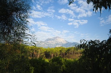 Tahtali dagi Dağları da Likya Olimpos olarak bilir. Parlak güneşli bir gün yeşil yemyeşil yeşillik aracılığıyla görüntüleyin. Tekirova, Türkiye.