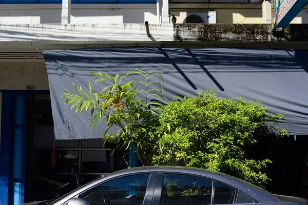 Крыша Автомобиля Вид Зеленое Дерево Голубем Таиланд — стоковое фото