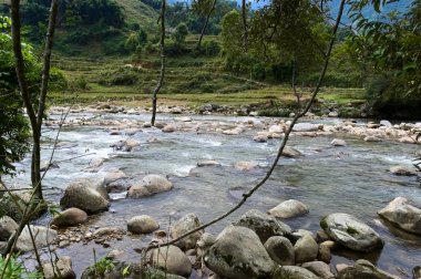 Vadideki dağ nehri. Nehir pirinç tarlaları ve çiftlikleri boyunca akan. Büyük kayalar ve sutaşları. Sa Pa yakınlarındaki küçük bir köy, Vietnam.